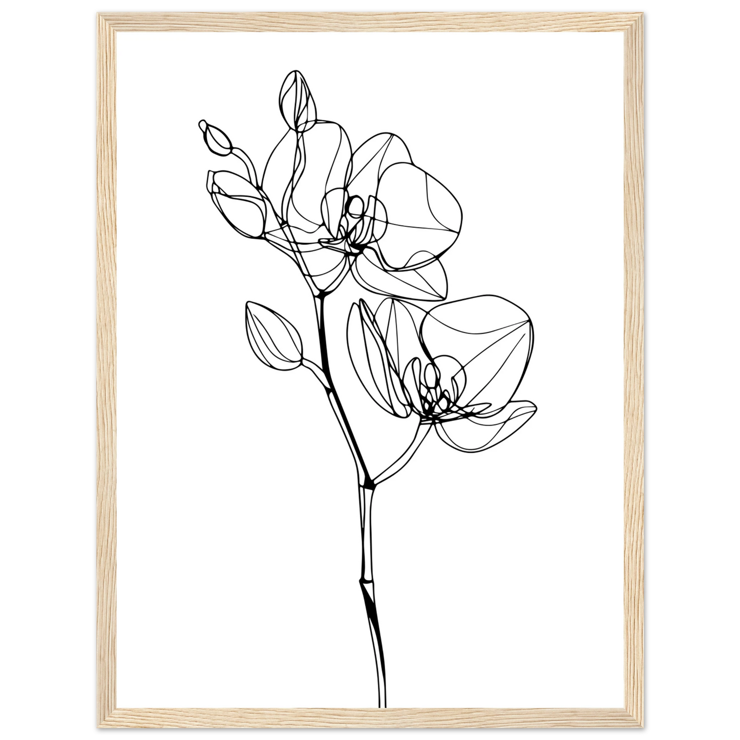 08034831-6c8b-4555-b6bb-7b6c4cfc8e0c