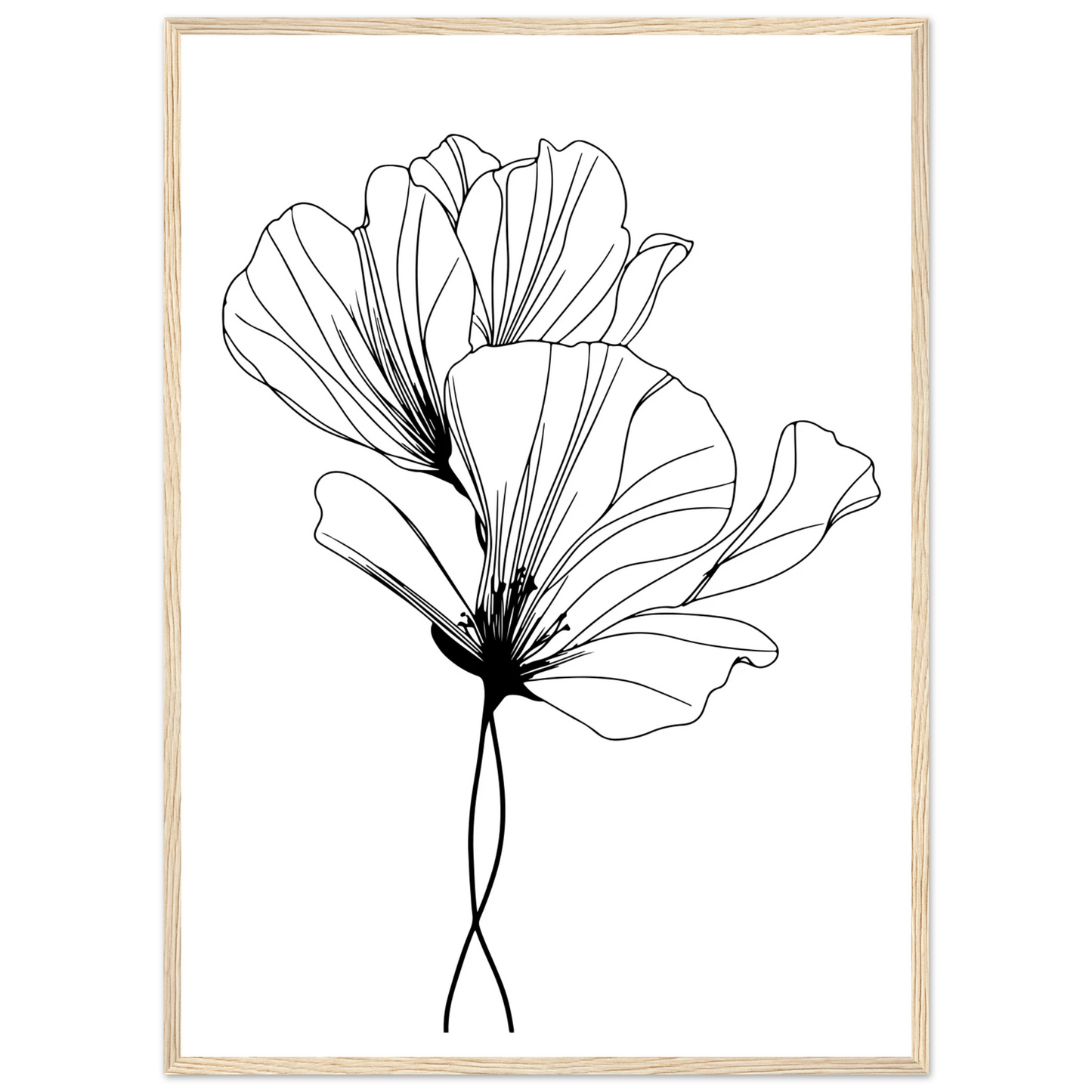 d415ea24-e376-49c8-8441-d1f5e0541337