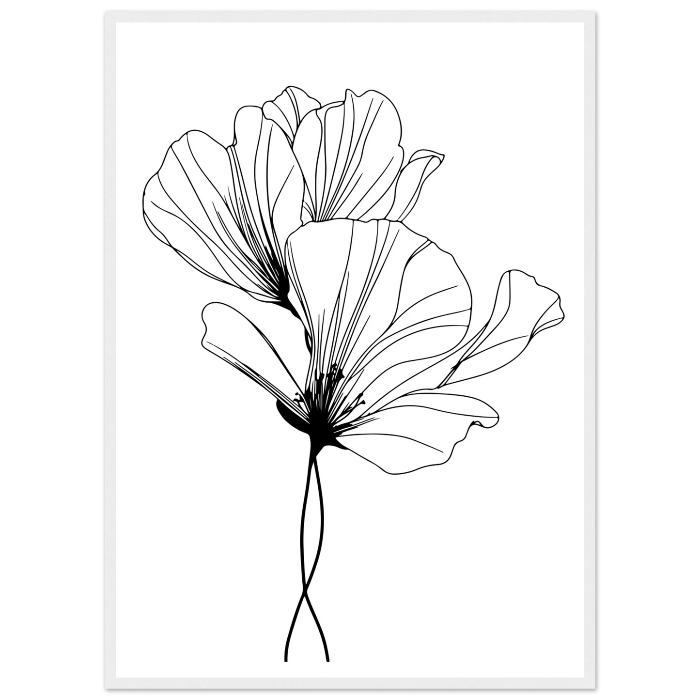 e5773f62-0248-4d10-8927-da2f7ee65e63